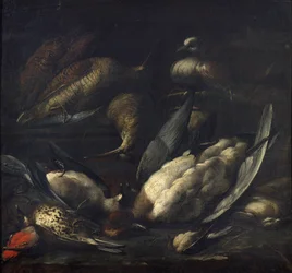 Jeu avec un pigeon vivant