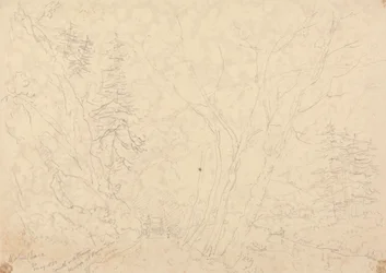 Holne Chase, 30 mai 1833
