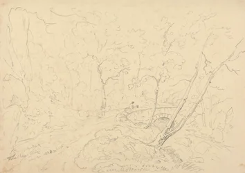 Pont et rivière de Holne Chase, 30 mai 1833