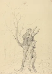 Dans le parc de Lord Yarborough, Appuldurcombe, Île de Wight