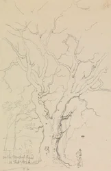 Sur la route de Newport, 12 février 1826