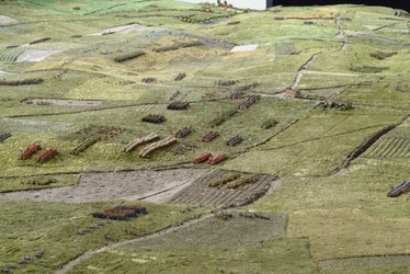 Diorama de la bataille de Waterloo montrant les troupes positionnées à 19h45 le 18 juin 1815 (détail)