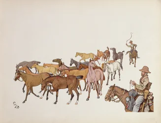Les poneys des volontaires, du The Leaguer of Ladysmith, 1900