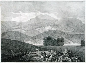 Vue d