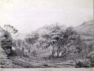 Tombe de Napoléon à Longwood sur l