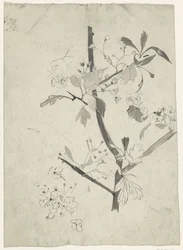 Branche avec fleur