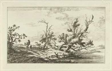 Cavalier dans un paysage