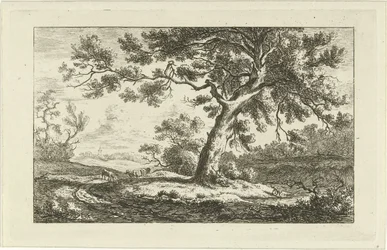 Berger au repos