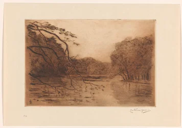 Étang dans la forêt de La Haye