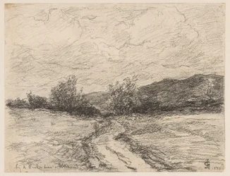 Sentier forestier à travers les dunes près d