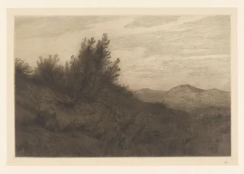 Paysage de dunes