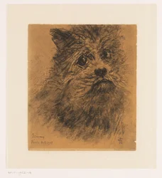 Étude de portrait du chien Jimmy