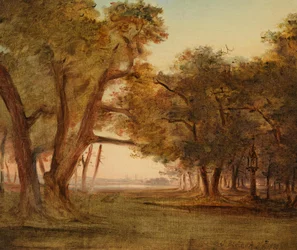 Paysage forestier dans l