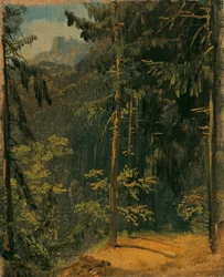 Chemin forestier dans le Harz