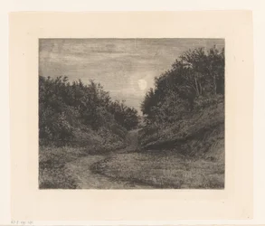 Sentier forestier au clair de lune