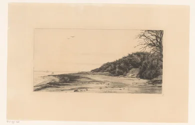 Lisière de forêt le long de l