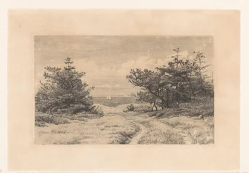 Chemin de campagne avec des buissons, le long d