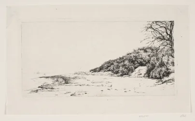 La falaise au bord de la mer