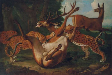 Léopards attaquant des cerfs dans un paysage