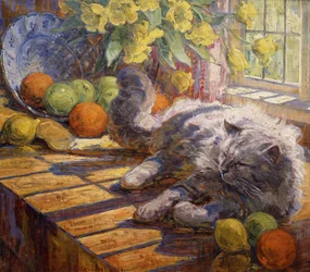 Bain de soleil