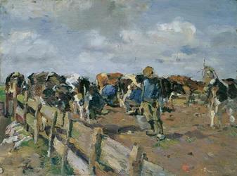 Traite des vaches