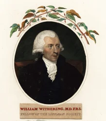Portrait de William Withering, médecin et botaniste