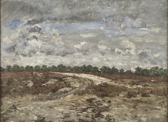 Paysage sauvage dans la forêt de Fontainebleau