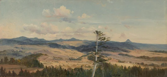 Paysage de l