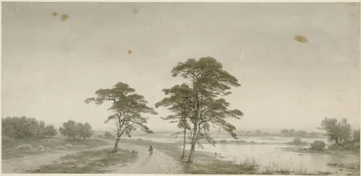 Paysage plat avec un promeneur