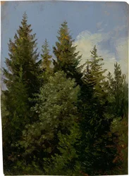 Sapins