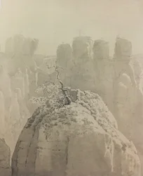 French : Vue du pont de Bastei en Suisse saxonne vers la Petite Oie
