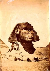 Sphinx à Gizeh