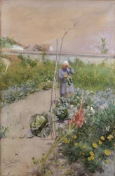 Dans le potager