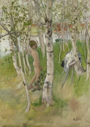 Garçon nu parmi les bouleaux, 1898