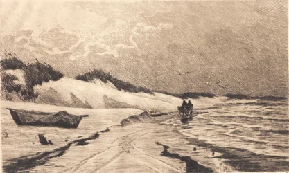 Des dunes près de la plage de Skagen Sønderstrand