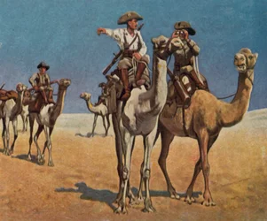 A la poursuite des Simon Copper Hottentots dans le désert du Kalahari
