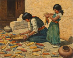 Séchage du maïs
