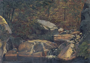 Ruisseau forestier (Cascade entre des rochers)