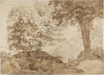 Repos dans la forêt de chênes