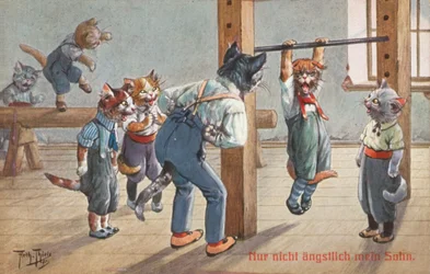 Carte postale humoristique de chat