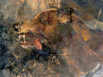 Tête de chien
