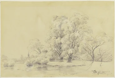Paysage avec des arbres au bord de l