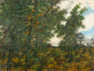 Au bord de la forêt
