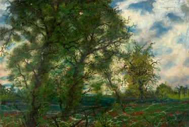 Paysage de printemps