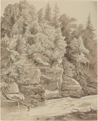 Falaises boisées le long d