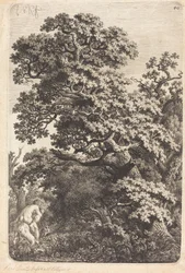 Satyre et nymphe dans un marais