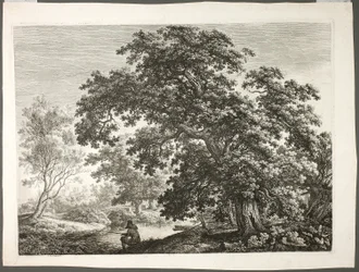 Pêcheur dans un paysage boisé