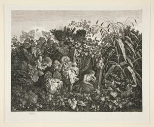 Paysage