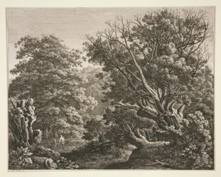 Paysage avec arbre noueux