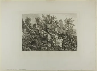Plantes des marais